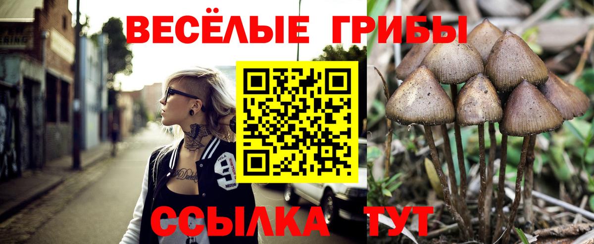 Галлюциногенные грибы Psilocybine cubensis  Вход с VPN  Нарьян-Мар 