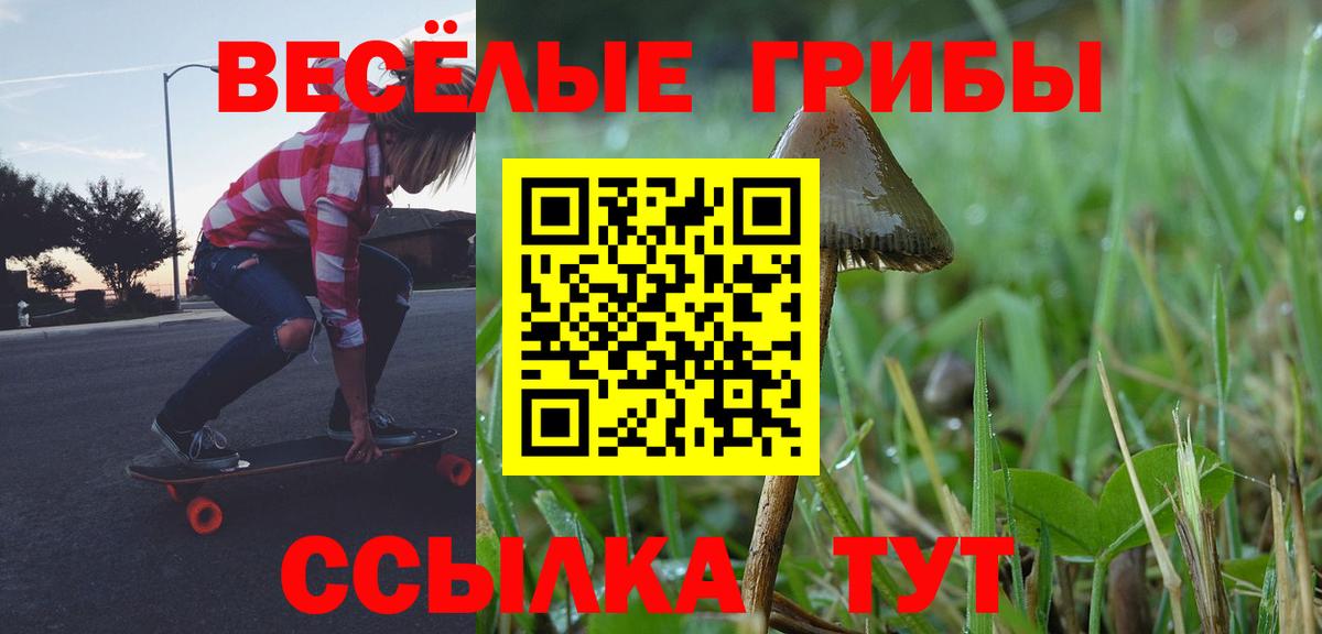 Галлюциногенные грибы Cubensis Нарьян-Мар